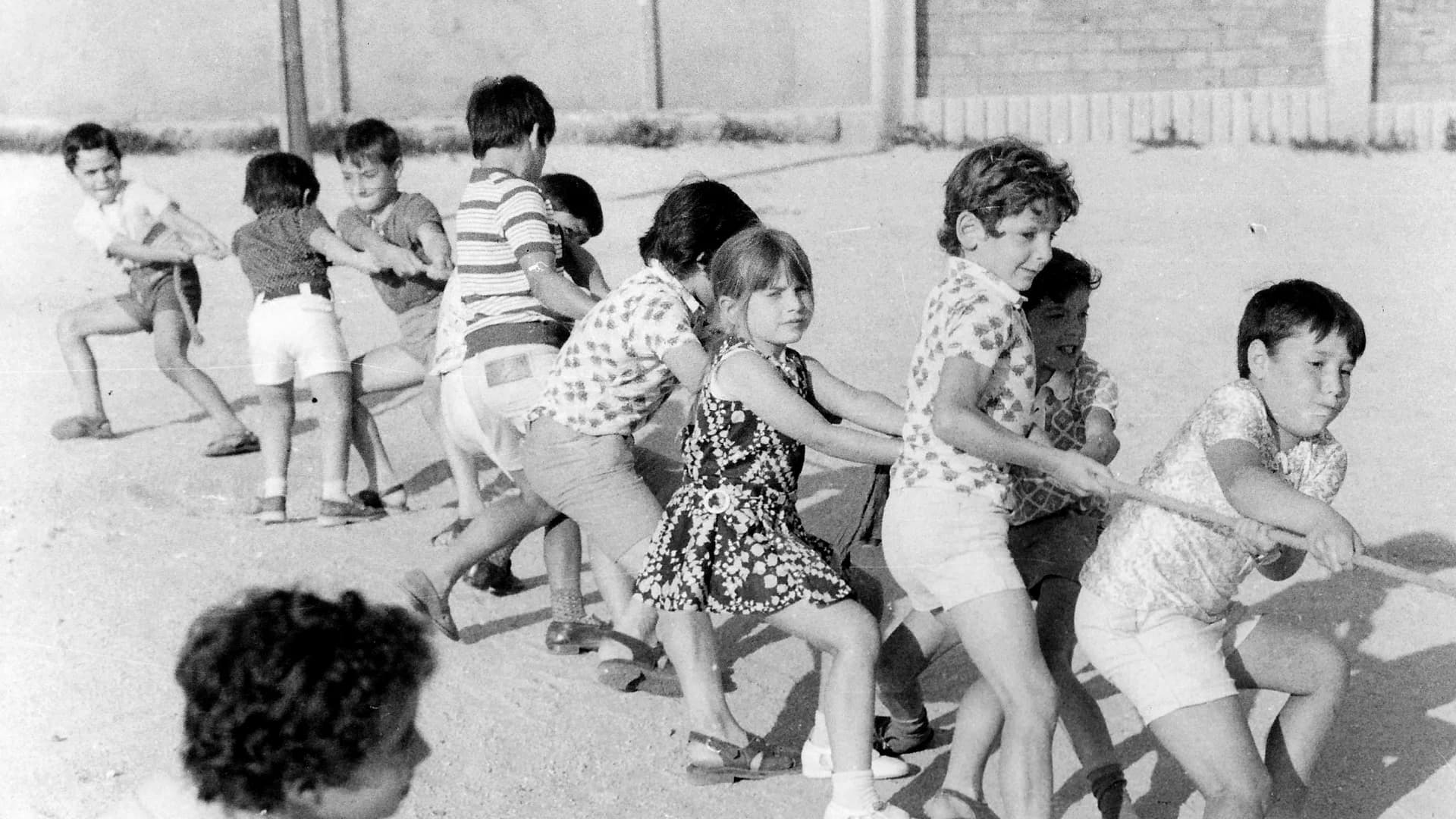 Comunitat i Valors